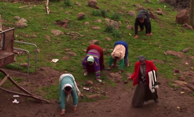 Family that walk on all fours have ‘undone the last three million years of evolution’