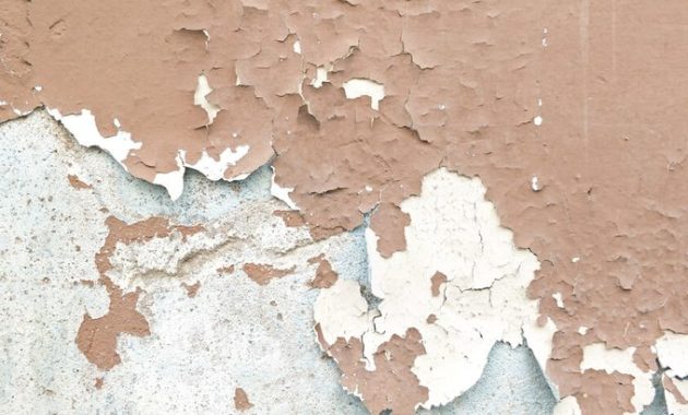 9 Things All Smart Homeowners Should Do Once a Week