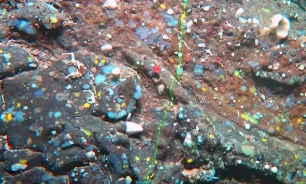 The ‘origins of Atlantis’ discovered off the coast of Lanzarote