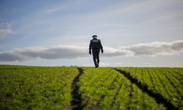 ‘It’s a matter of time before a farmer is seriously injured’: on the trail of hare coursers in Wiltshire