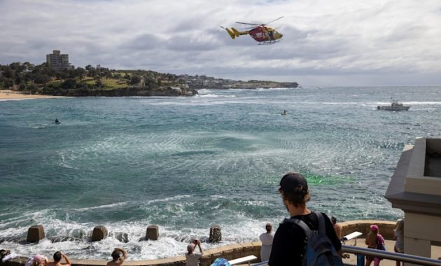 Huge search resumes at Coogee for popular local bartender