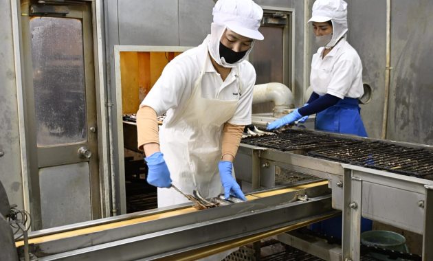 Feature: Japan’s Labor Crisis Threatens Foreign Workforce Loss