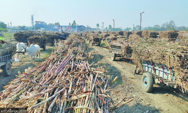 Nepal Launches E10 Fuel Blend, Aims for $6B Annual Savings