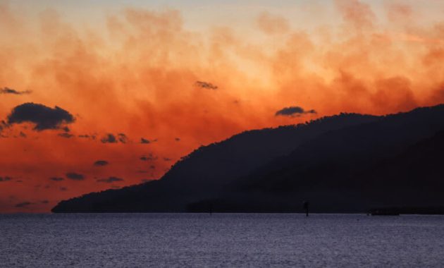 Post-Ban Measures, Australia Embraces “Forest Thinning” – Does It Curb Fire Risk?