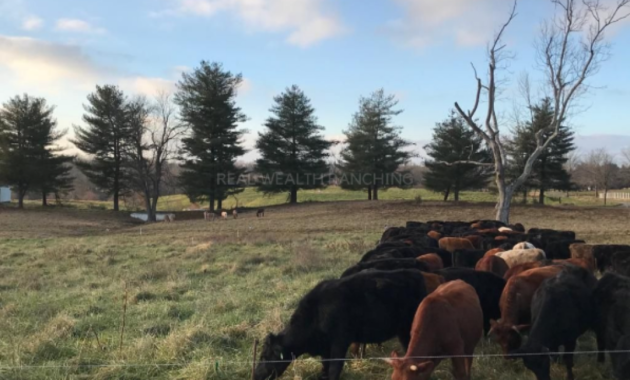 Ranching for Enhanced Security and Economic Growth