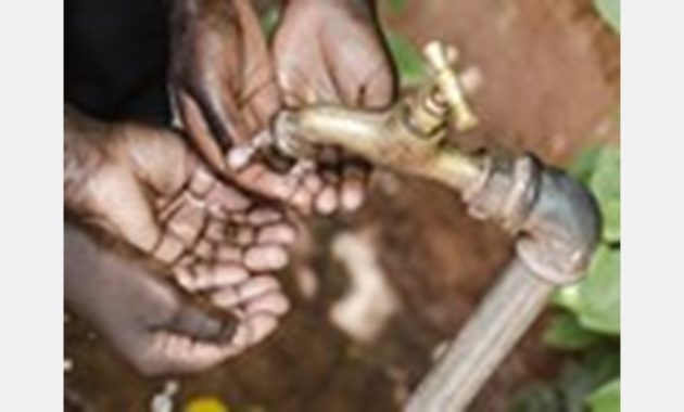 Seeds of Transformation: Climate-Smart Farming in Mushandike, Zimbabwe