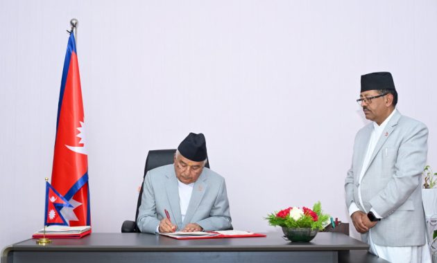 President to Sign Constitutional Council Ordinance After Back-and-Forth