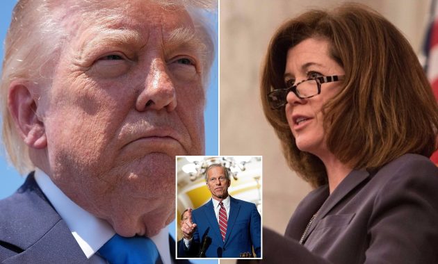 Trump Demands Firing of Key Senate Official After Funding Controversy