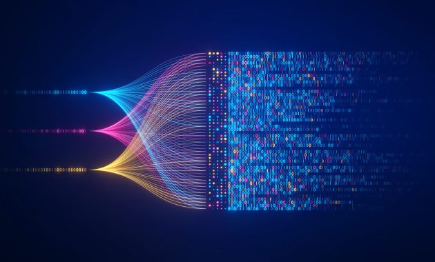 The Data Protection Bill 2025: A Stronger Shield for Privacy and Progress