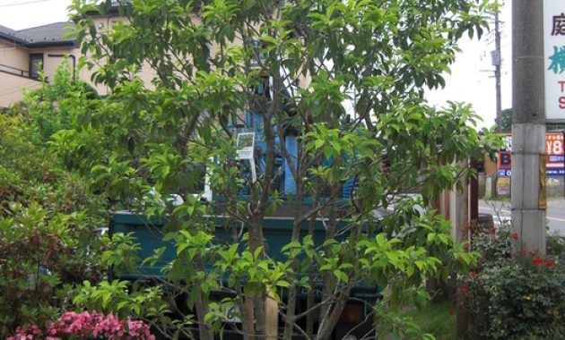 Exporters face losses as 1,000 containers remain stuck