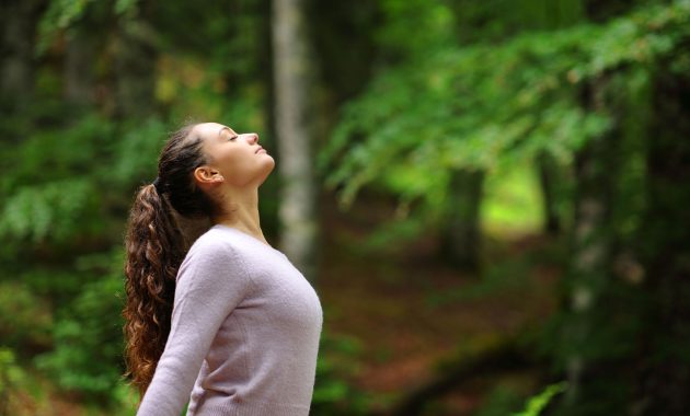 Nature Walks: The Hidden Benefits of Feeling Better