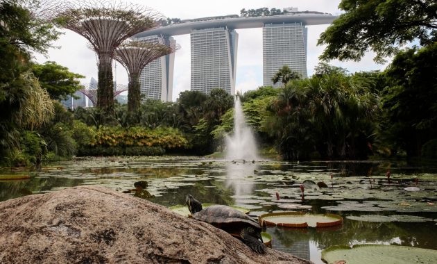 In Singapore, malls for shopping only are going out of style