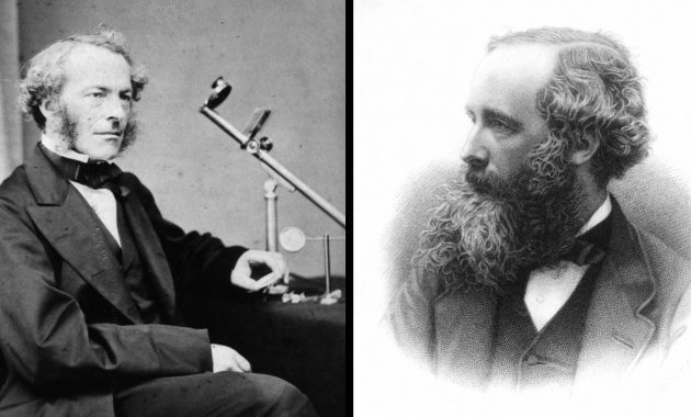 Cats and mind-full mechanics: what happens when quantum physics meets the brain