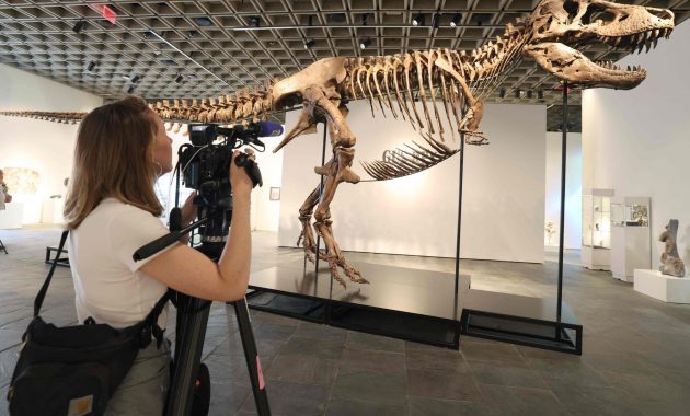 Dino-mite treasures: inside Singapore’s Fort Knox storing playthings of ultra-rich